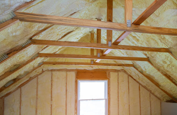 Best Commercial Insulation in Fair Grove, MO